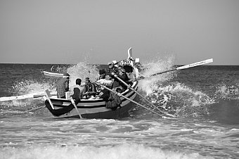DSC_0049aa.jpg