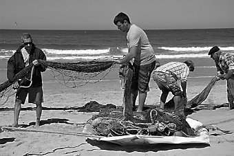 DSC_0749a.jpg