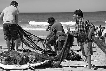 DSC_0759a.jpg