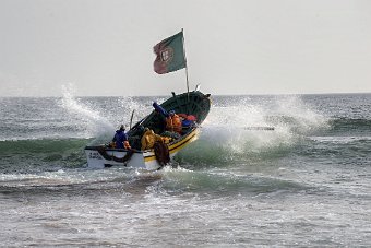 DSC_1556a.jpg