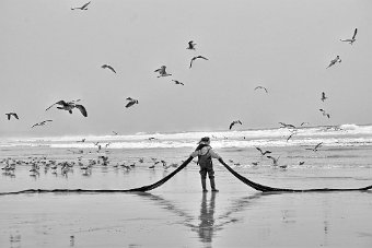 DSC_4430a.jpg
