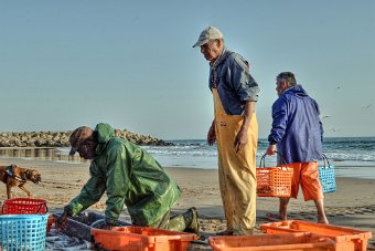 DSC_5775a.jpg