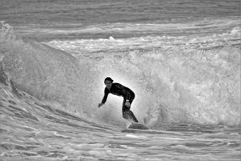 DSC_9676 .jpg